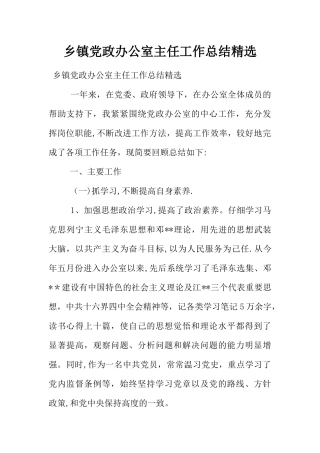 乡镇党政办公室主任工作总结精选