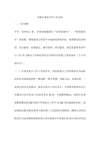 乡镇办事处半年工作总结