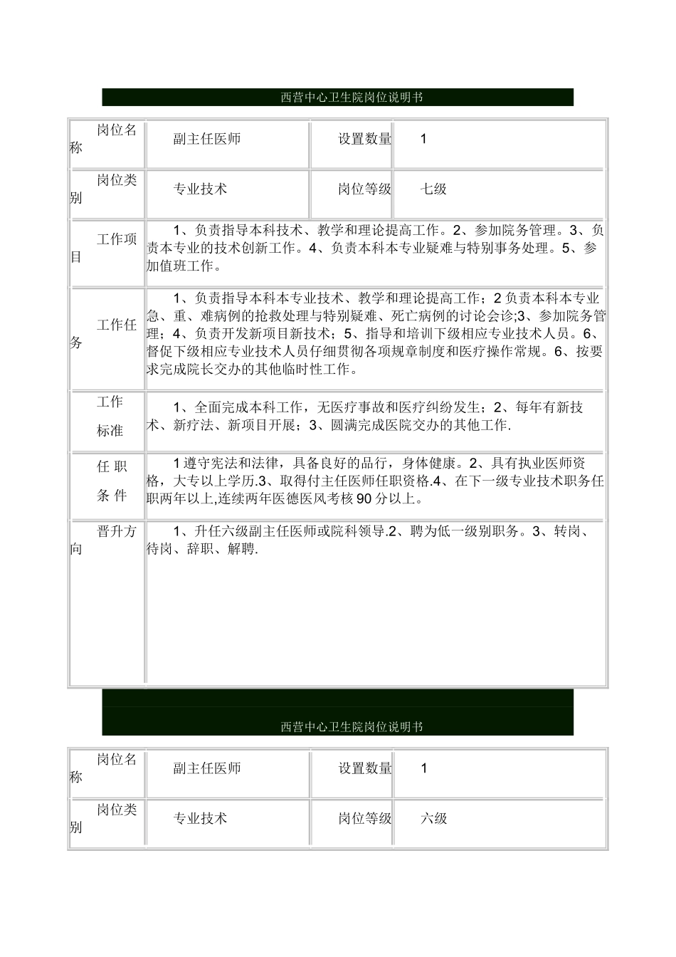 乡镇卫生院岗位说明书_第1页