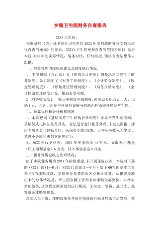 乡镇卫生院财务自查报告