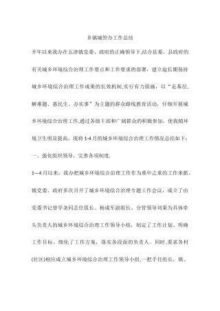 乡镇城管办工作总结