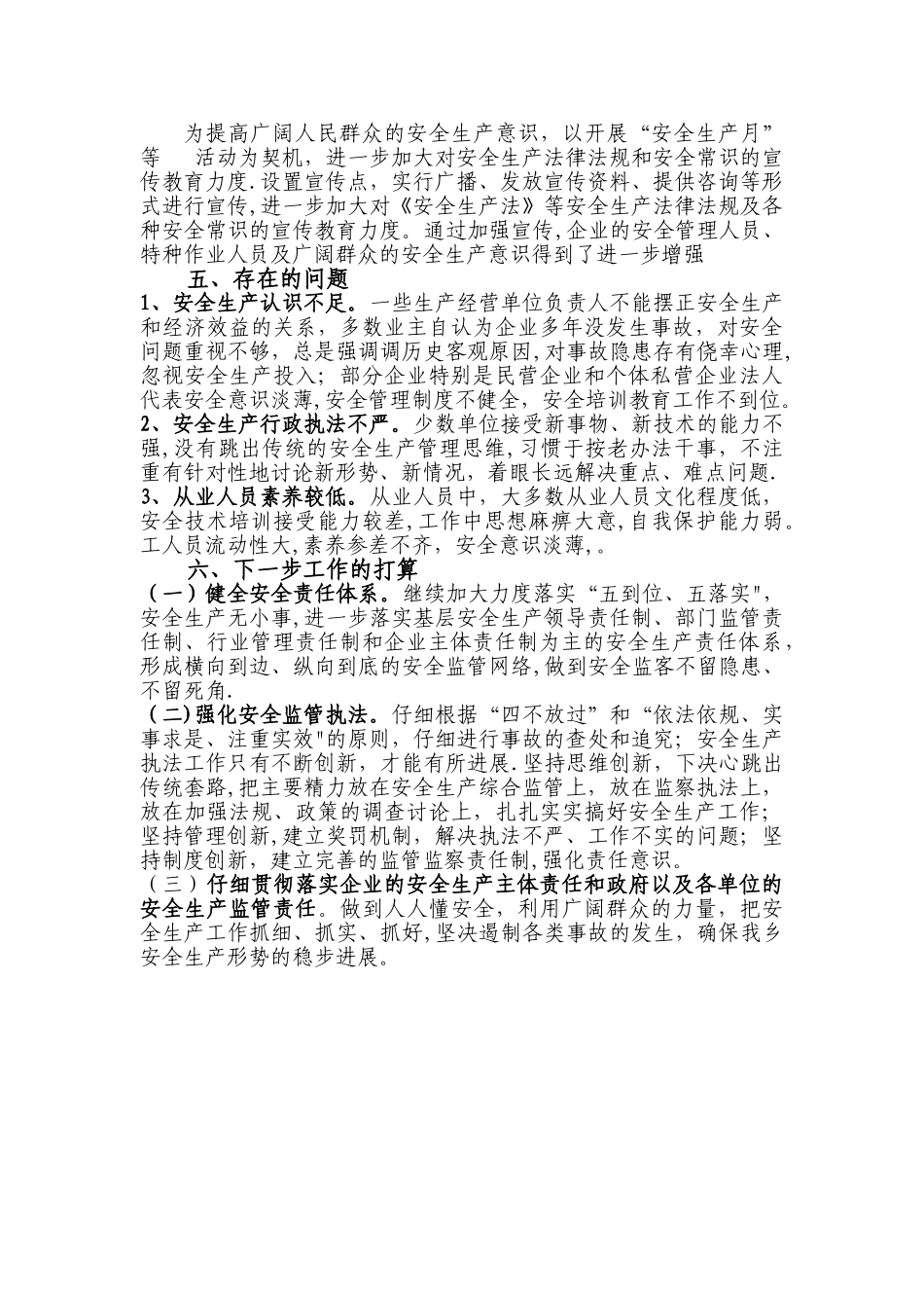 乡镇安全生产大检查工作总结汇报_第2页