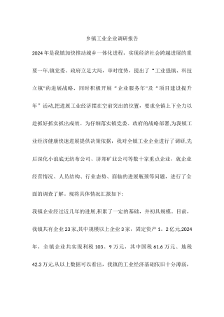 乡镇工业企业调研报告