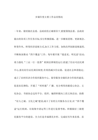 乡镇年度主要工作总结情况