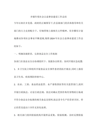 乡镇年度社会公益事业建设工作总结
