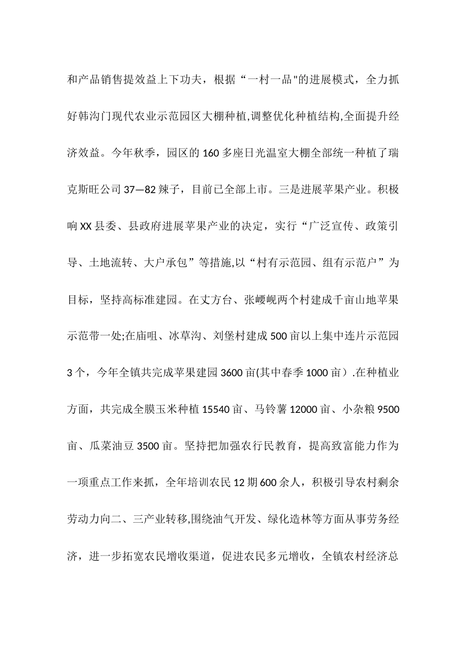 乡镇年度经济社会工作总结报告_第2页