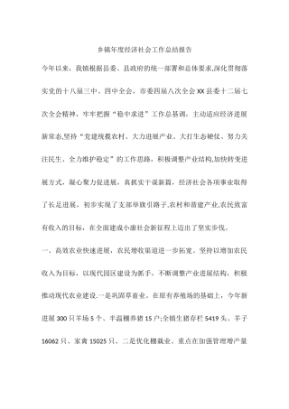 乡镇年度经济社会工作总结报告
