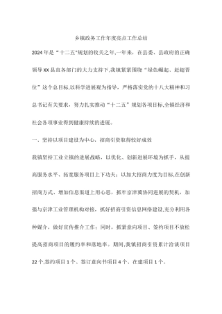 乡镇政务工作年度亮点工作总结