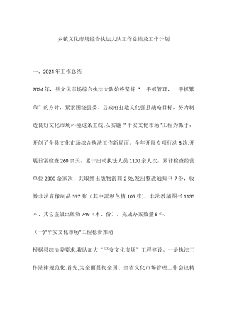 乡镇文化市场综合执法大队工作总结及工作计划