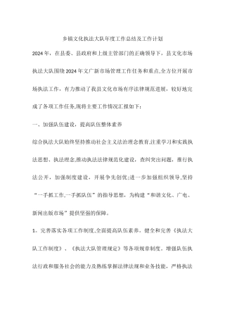 乡镇文化执法大队年度工作总结及工作计划