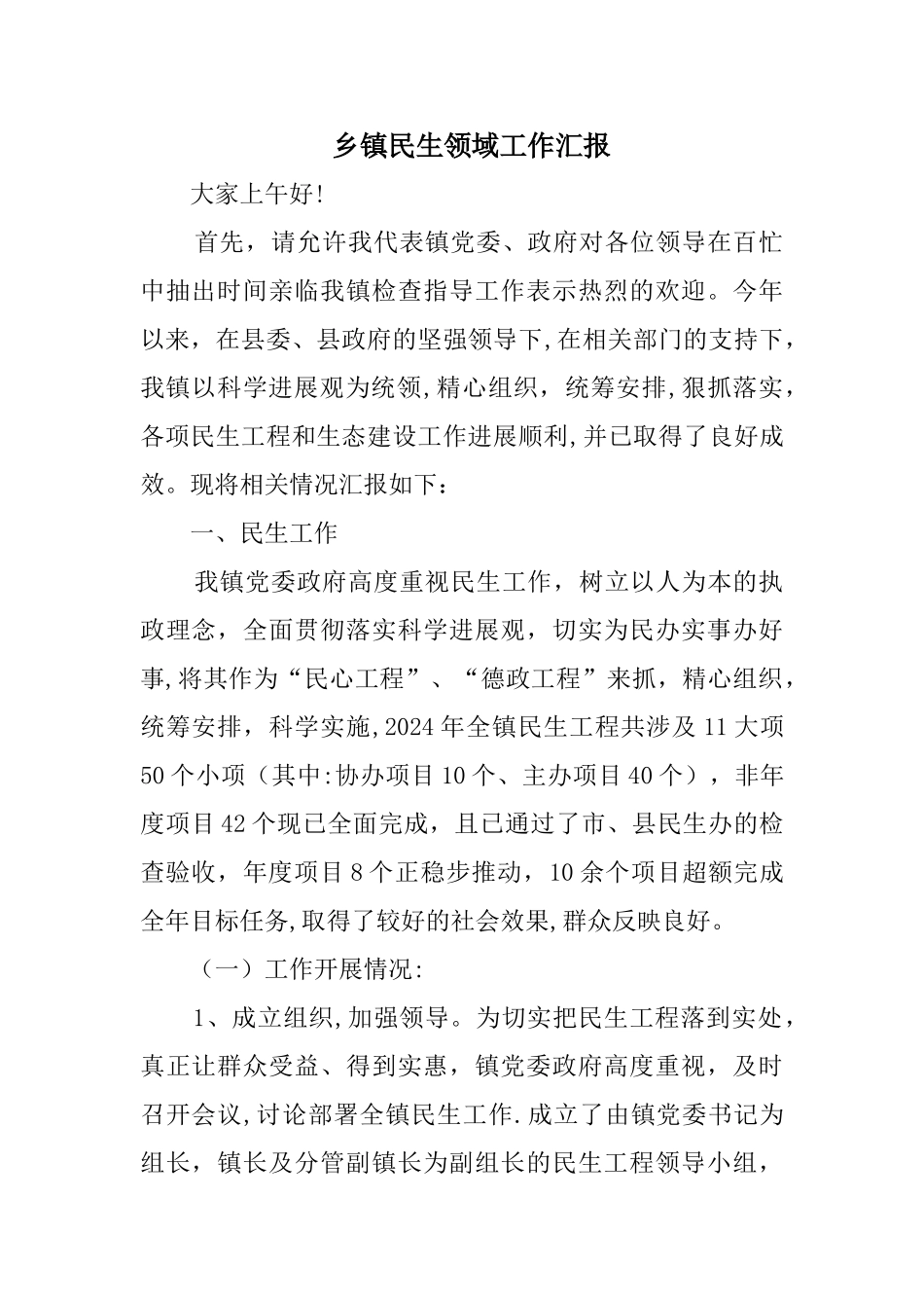 乡镇民生领域工作汇报_第1页