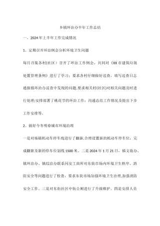 乡镇环治办半年工作总结