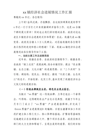 乡镇社会经济工作汇报