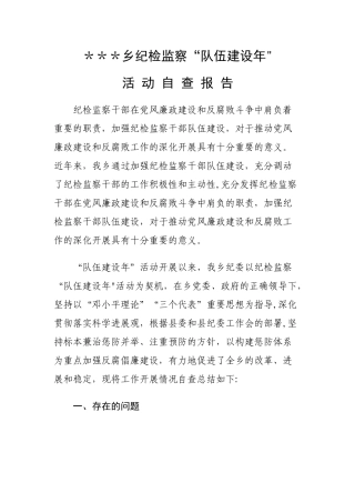 乡镇纪检监察队伍建设年单位自查报告doc