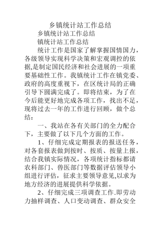 乡镇统计站工作总结