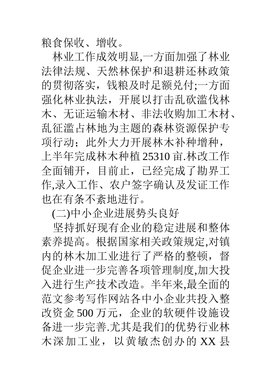 乡镇重点项目工作总结_第3页