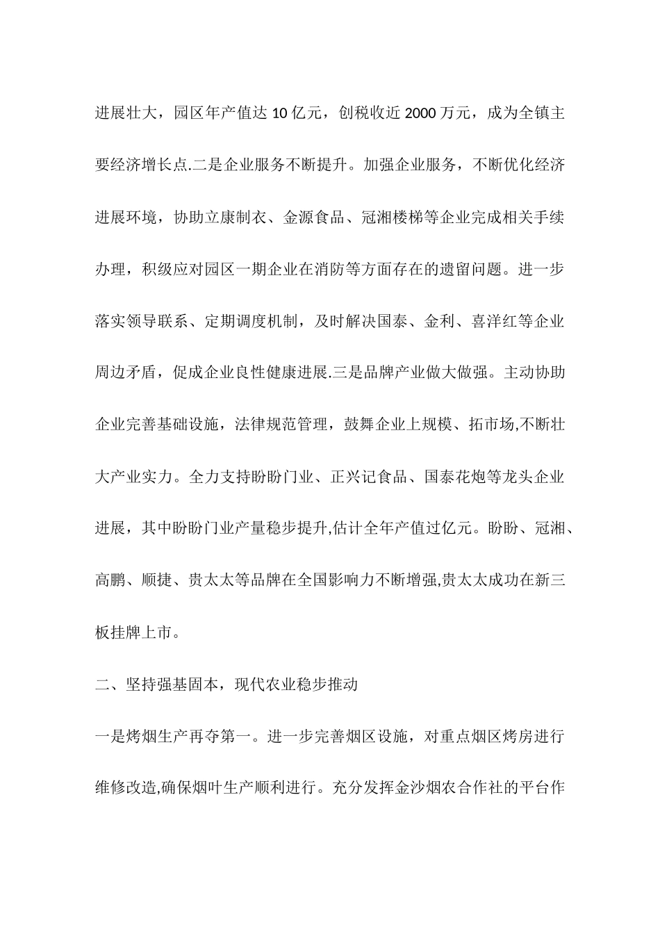 乡镇重点项目年度工作总结_第2页