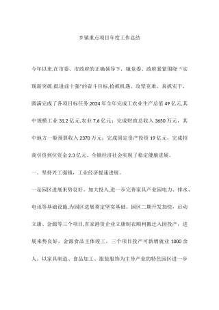 乡镇重点项目年度工作总结