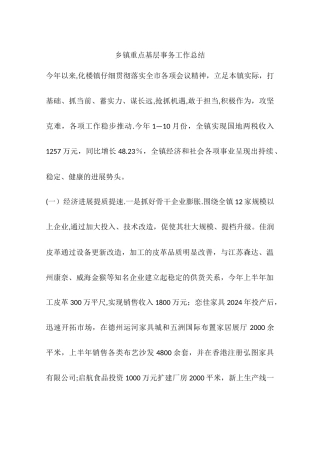 乡镇重点基层事务工作总结