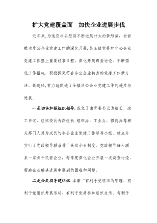 乡镇非公企业党建工作总结