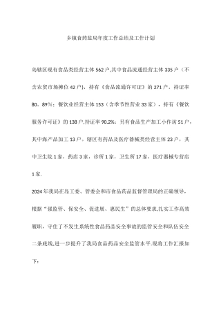 乡镇食药监局年度工作总结及工作计划