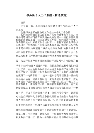 事务所个人工作总结