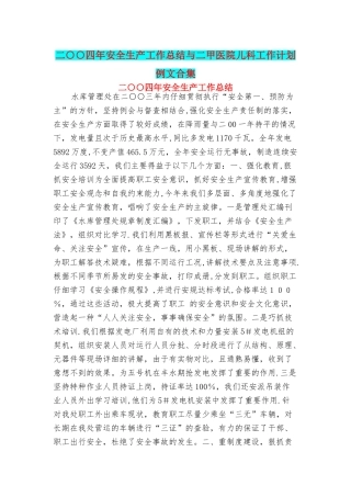 二○○四年安全生产工作总结与二甲医院儿科工作计划例文合集