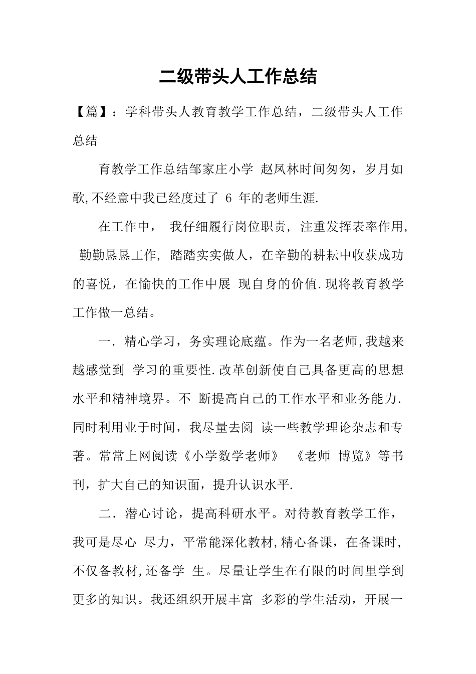 二级带头人工作总结_第1页