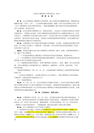 云南省小额贷款公司管理办法