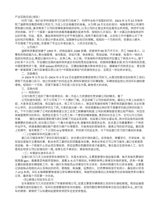 产业实践报告总结