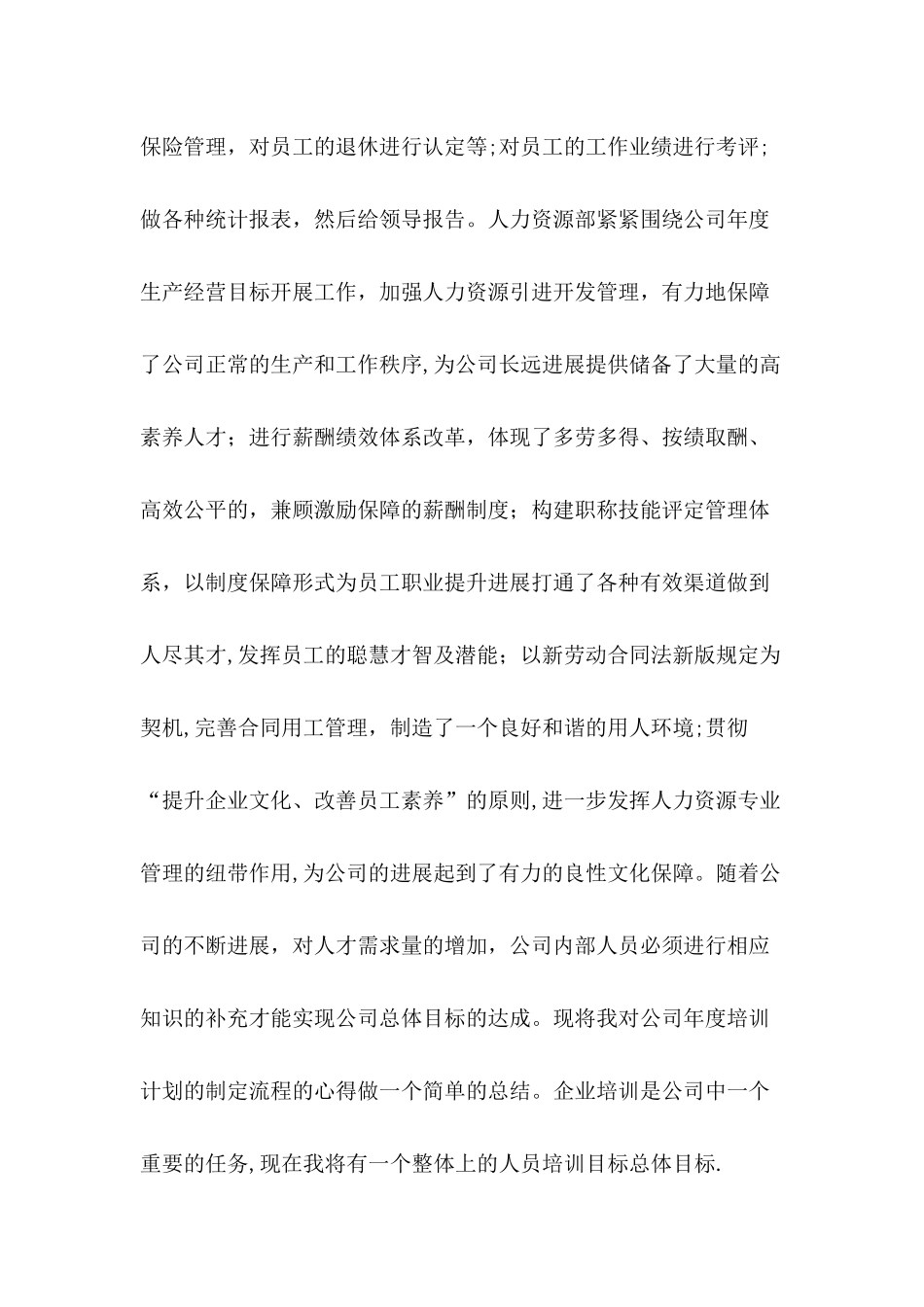 人力资源一级管理师工作总结样本_第2页