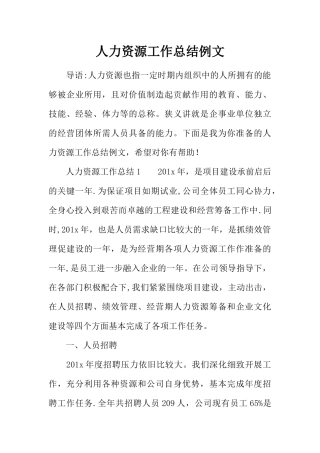 人力资源工作总结例文