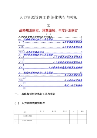 人力资源战略规划、预算编制、年度计划编写