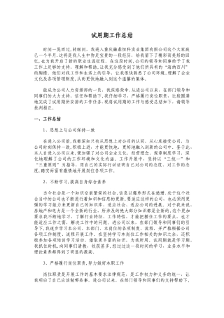 人力资源管理试用期工作总结