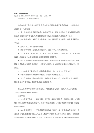 人力资源规划案例