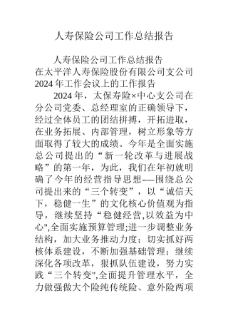 人寿保险公司工作总结报告