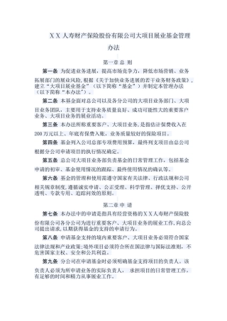 人寿财产保险股份有限公司大项目展业基金管理办法
