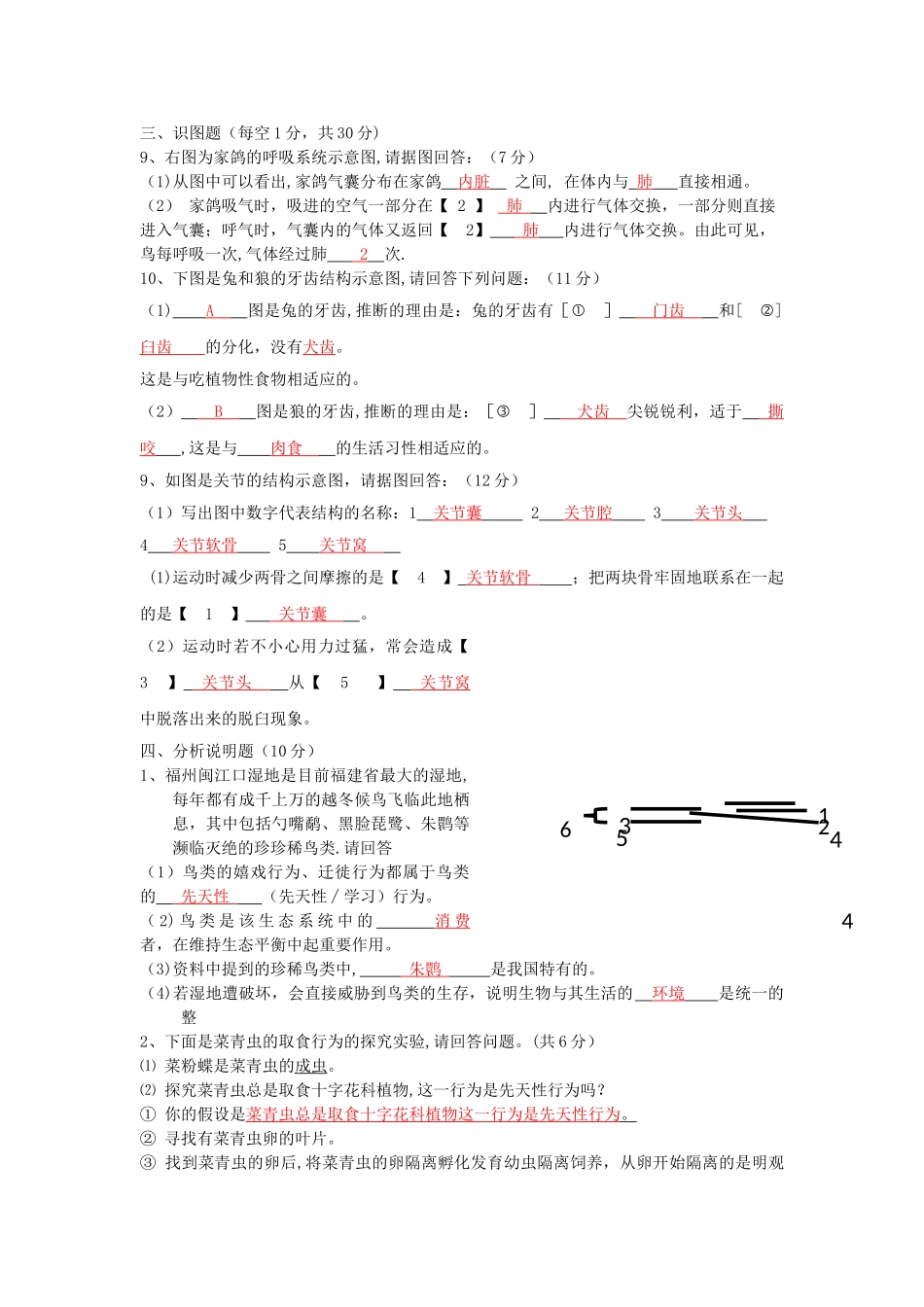 人教版生物八年级上册半期试题及答案_第3页