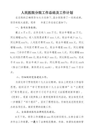 人民医院分院工作总结