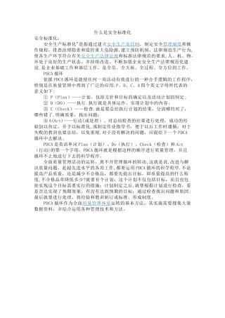 什么是安全标准化