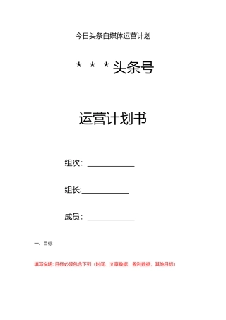 今日头条运营计划书