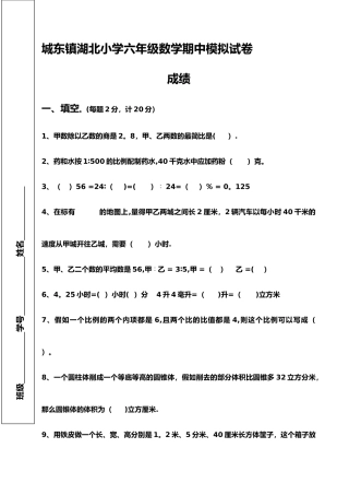 城东镇湖北小学六年级数学期中模拟试卷