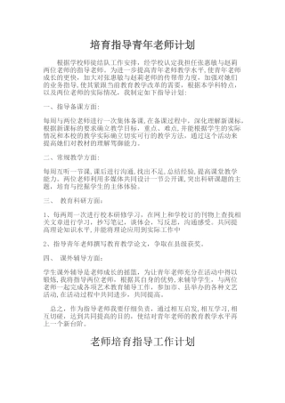 培养指导青年教师计划