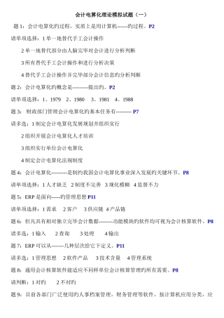 2025年会计电算化理论实务试题