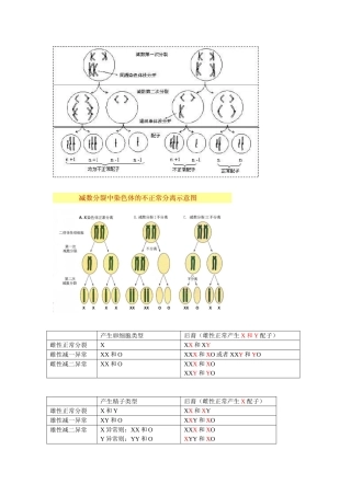 2025年减数分裂染色体异常归纳和练习
