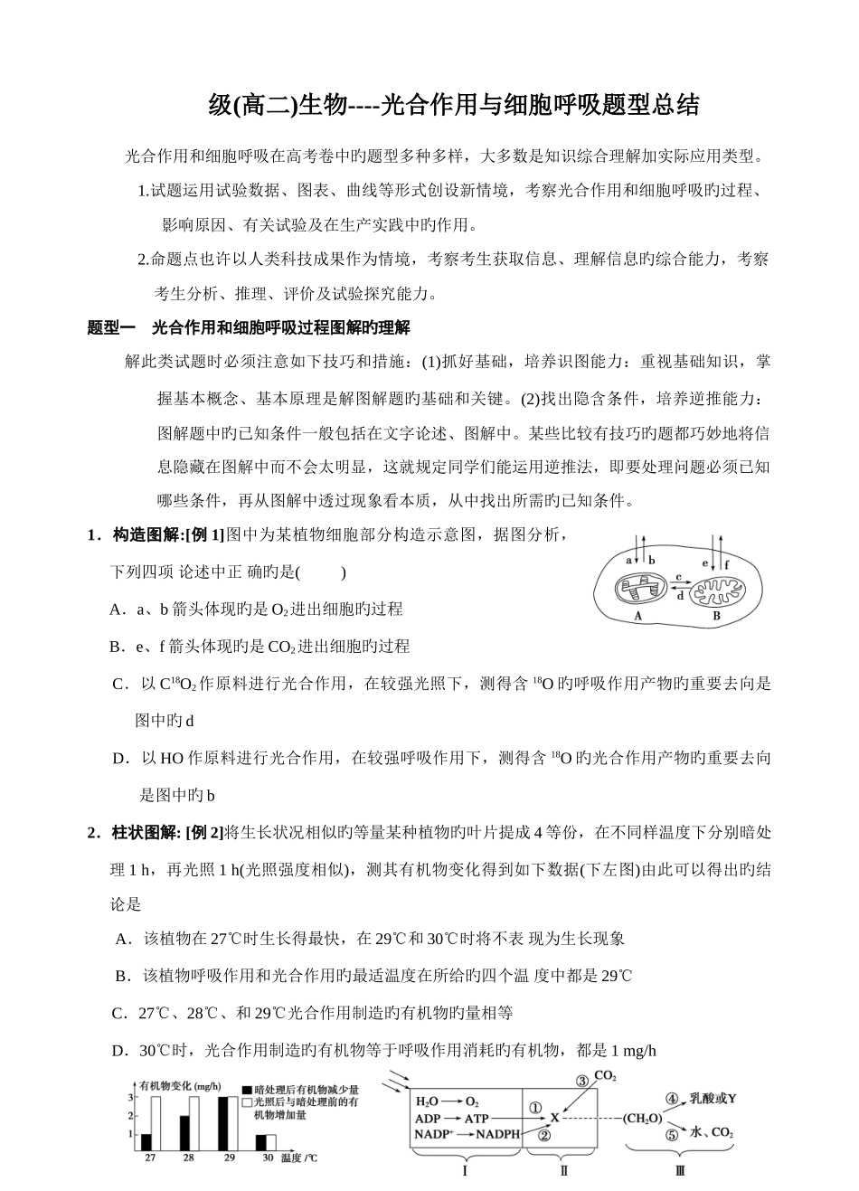 2025年光合作用与呼吸作用题型归纳总结_第1页