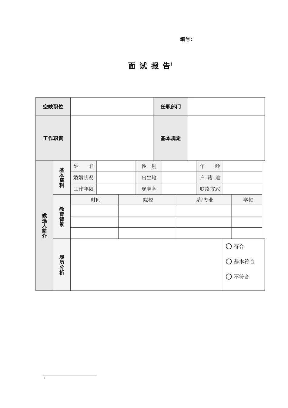 2025年公司面试报告样本_第1页