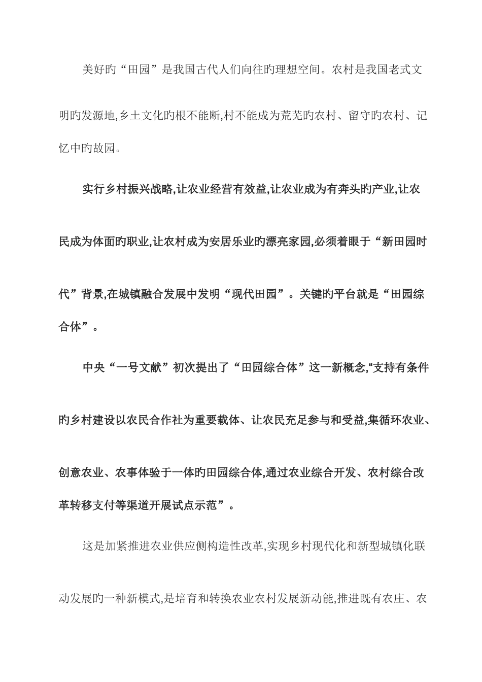 2025年乡村振兴战略_第2页