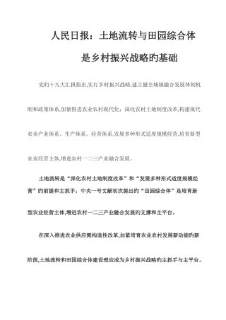 2025年乡村振兴战略