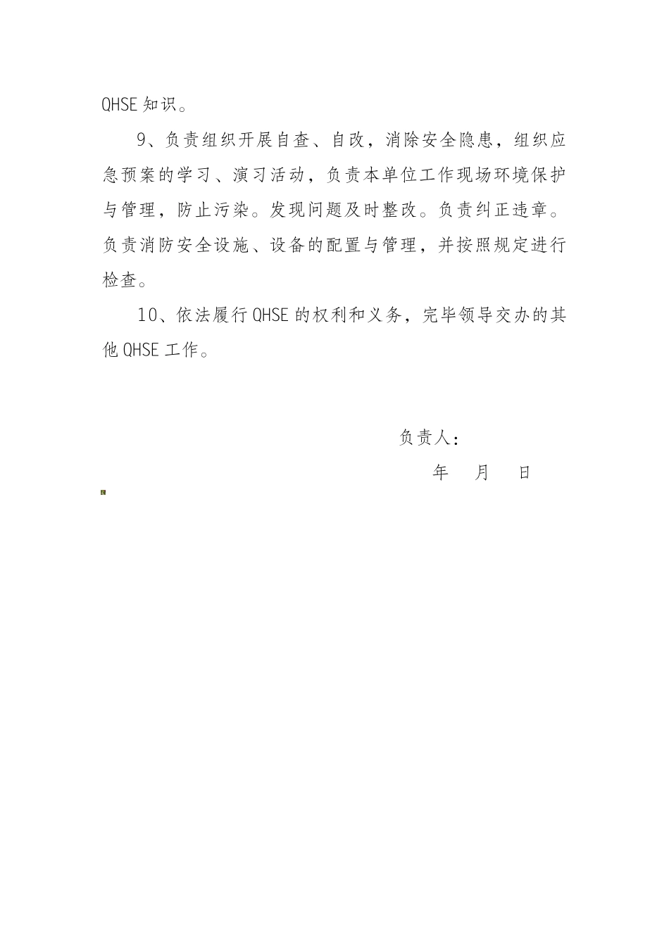 2025年安全员岗位HSE职责_第2页